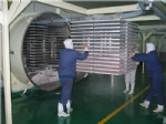 Vacuum freeze dryer