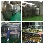 Vacuum freeze dryer